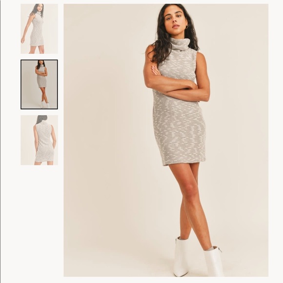 Sadie & Sage Sweet Citadel Turtlel Neck Dress in Oatmeal - Medium - Picture 2 of 8